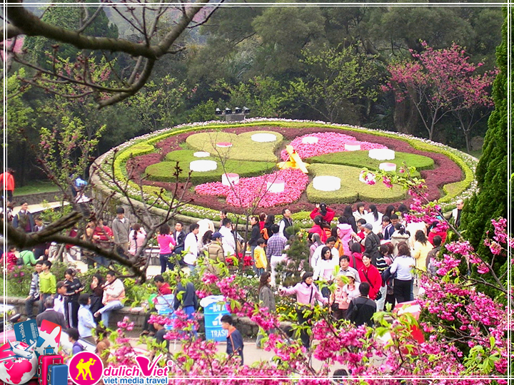 Du lịch Đài Loan ngắm hoa Anh Đào 2017 khởi hành từ Tp.HCM